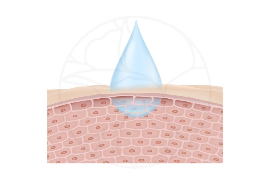功效1 維持皮膚水分平衡, 修復保濕